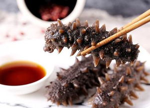 海参——丰富的蛋白质来源，健康的美味佳品