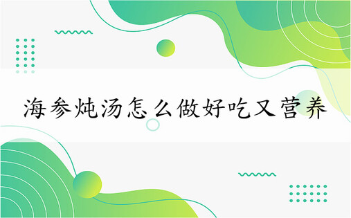 海参炖汤怎么做好吃又营养