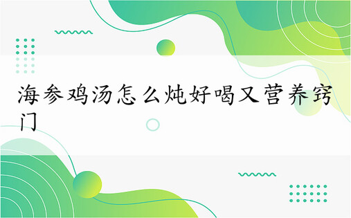 海参鸡汤怎么炖好喝又营养窍门